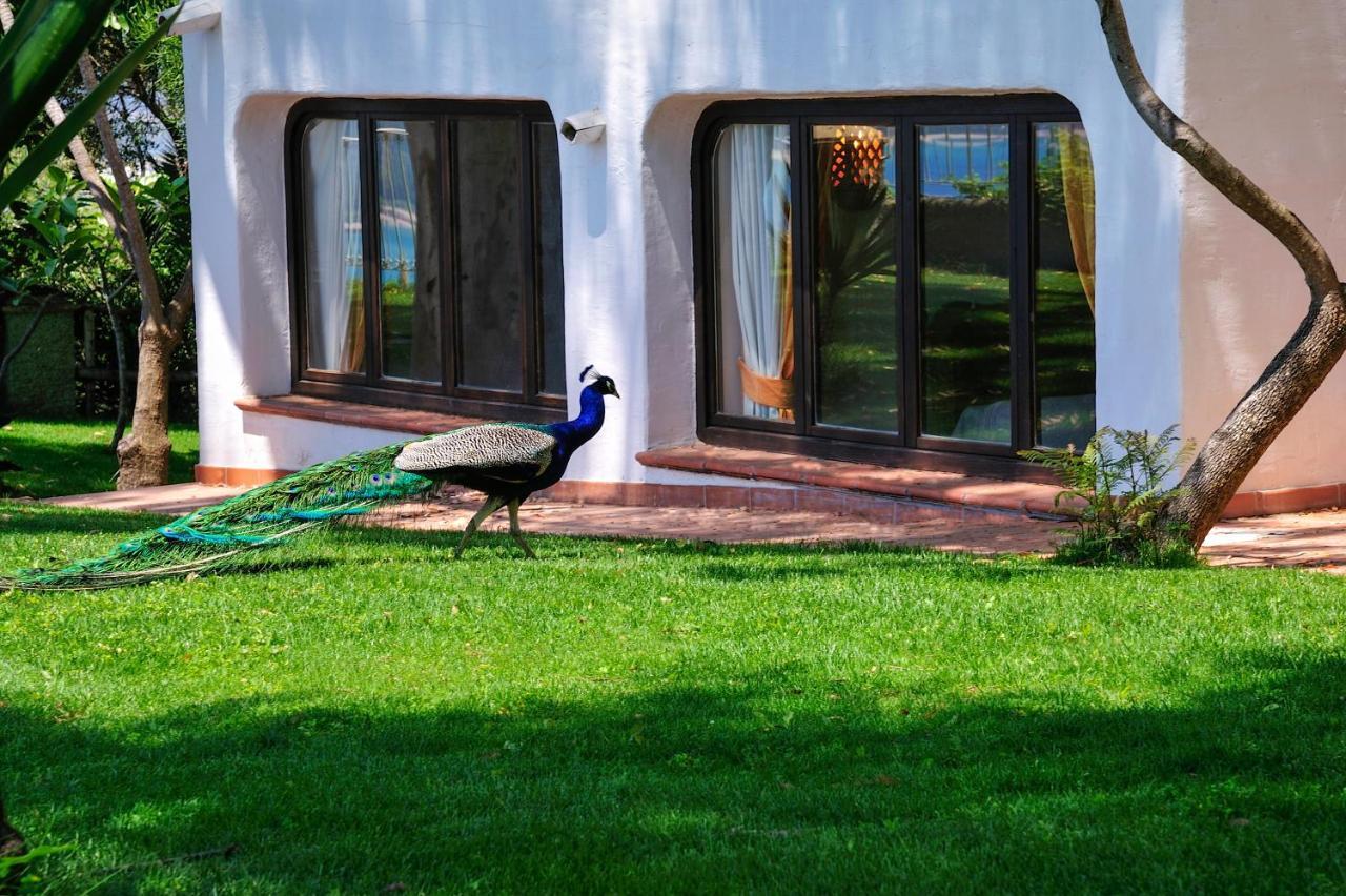 Arbatax Park Resort - Ville Del Parco Exterior photo